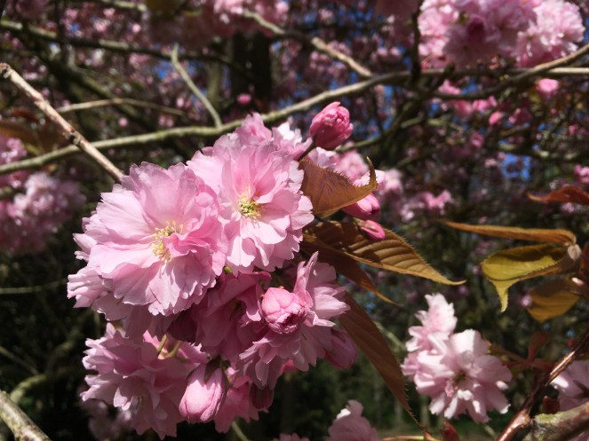 3B0F0CFB-0CF1-4E41-B560-A4D9A825390E