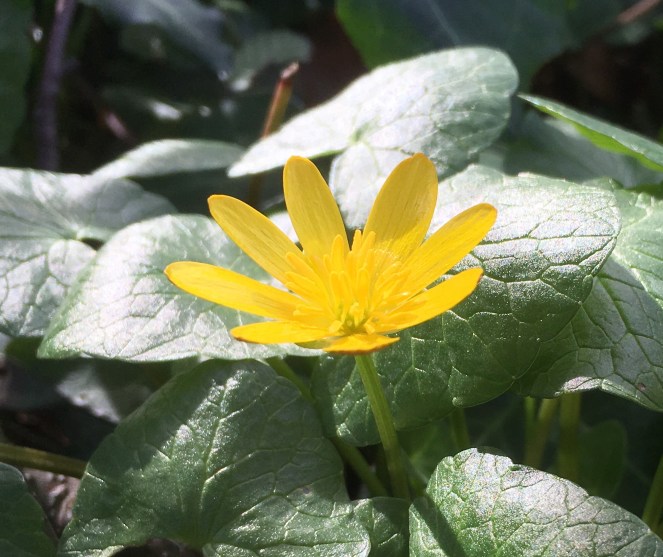 8CB3D514-DF69-4665-8F31-3B55BFC9A77B