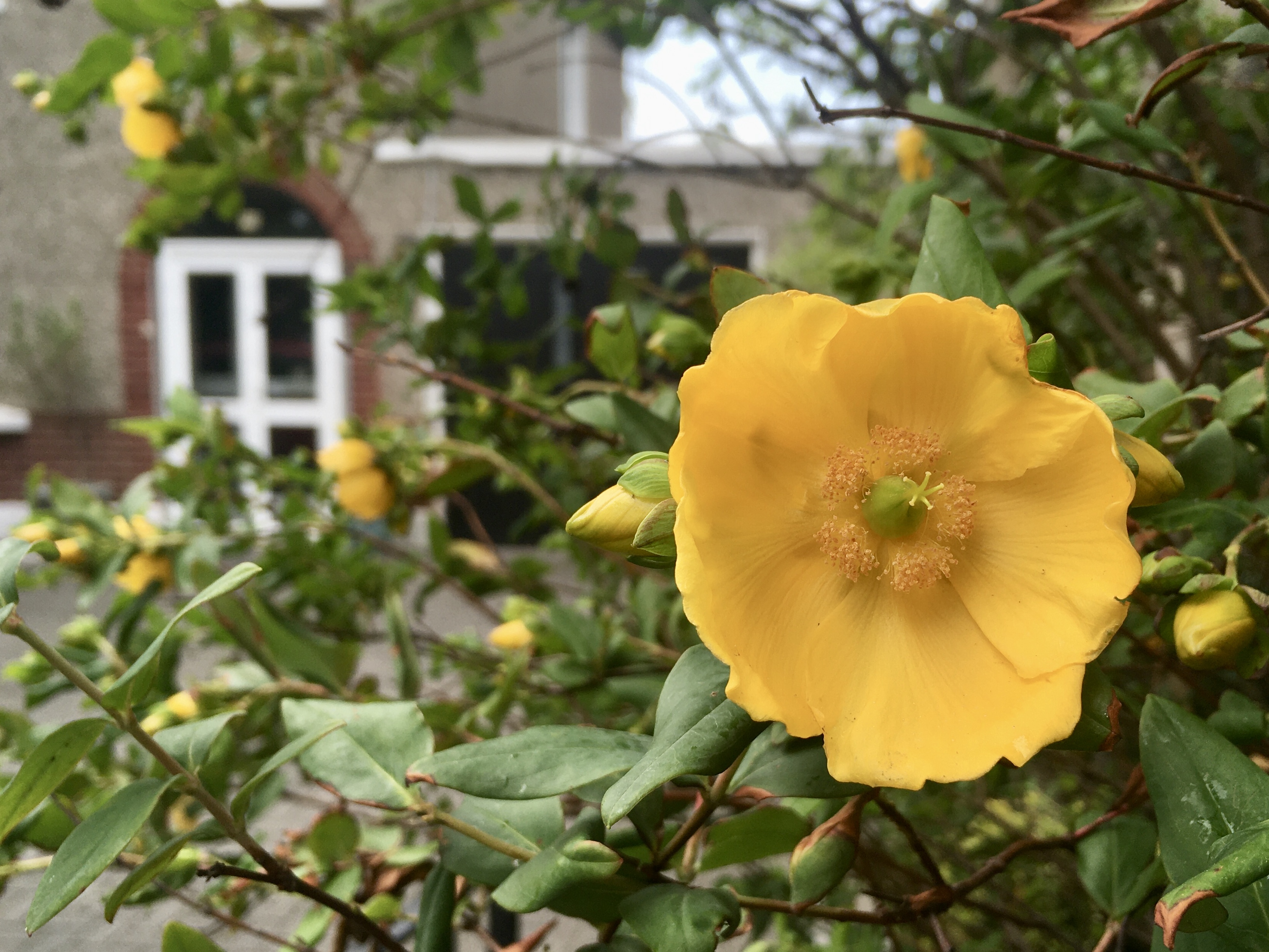 8C87D4FB-79BB-4E39-BA25-BD258771D10E