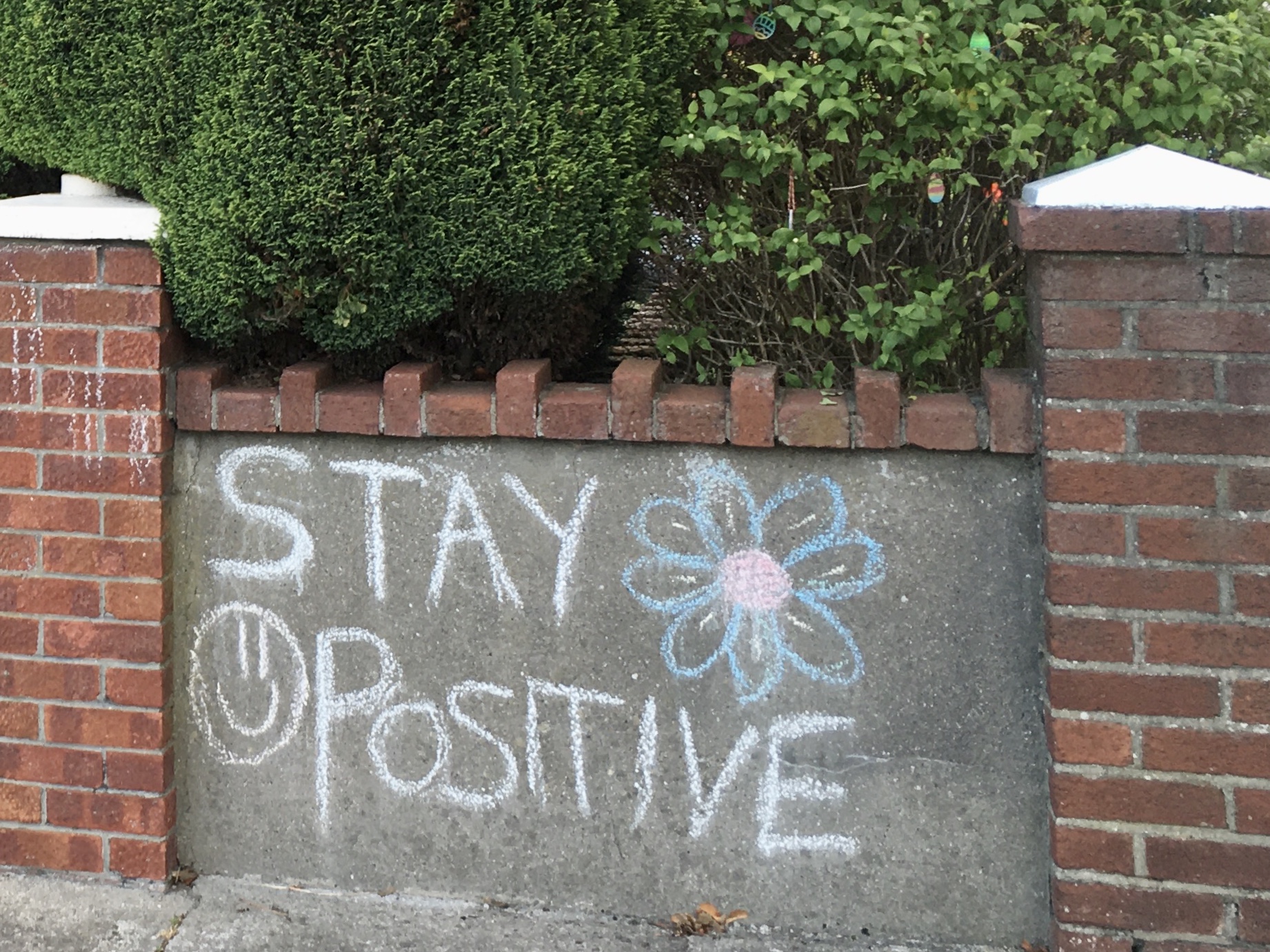 0F48EAD3-049F-49C4-B2DF-74B3C41C49CA