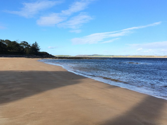 30E6407C-F476-4941-9477-3F9F2057BCB8